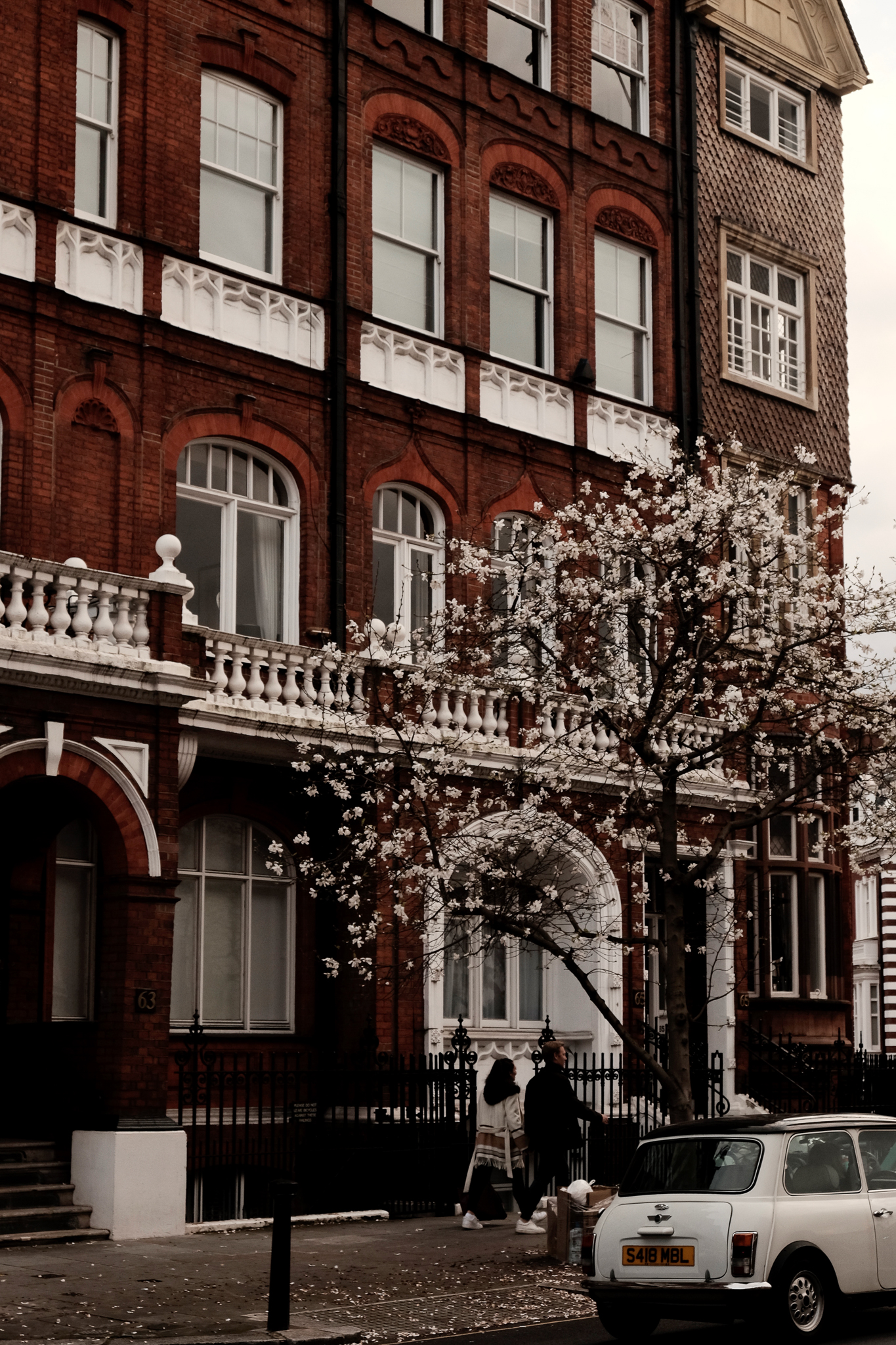 An old white mini cooper and white cherry blossom tree against a deep red stacked flats building