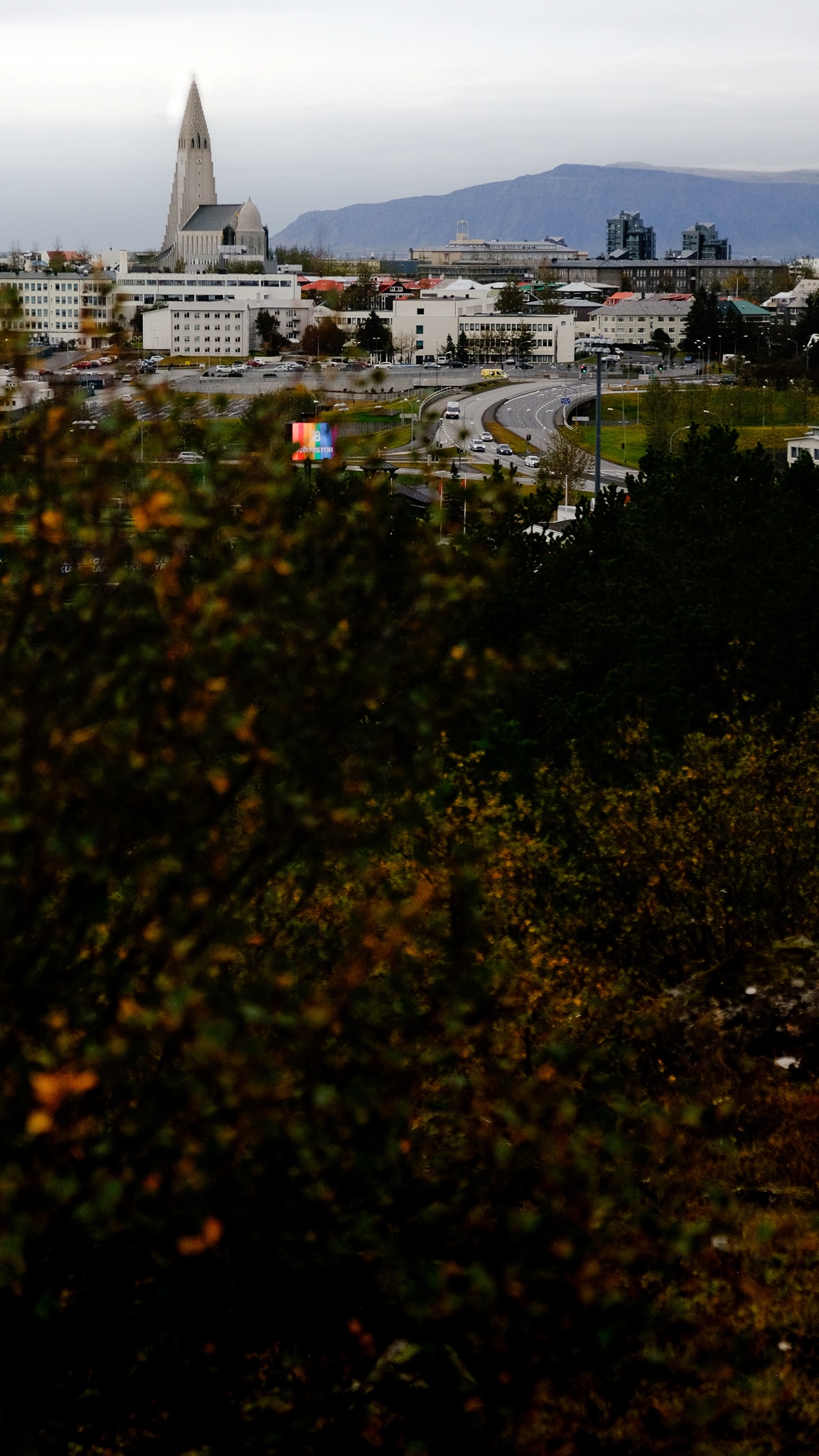 Hallgrimskirkja church in the distance the frame covered by leaves with a digital sign with a rainbow indicating Iceland's forward liberal thinking