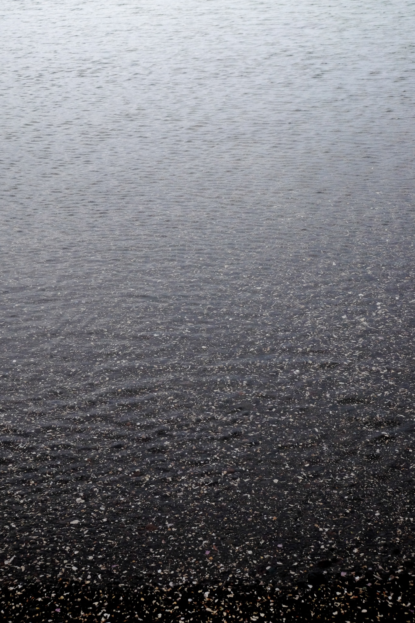 Black sand beach fades into calm water's reflection of the white sky