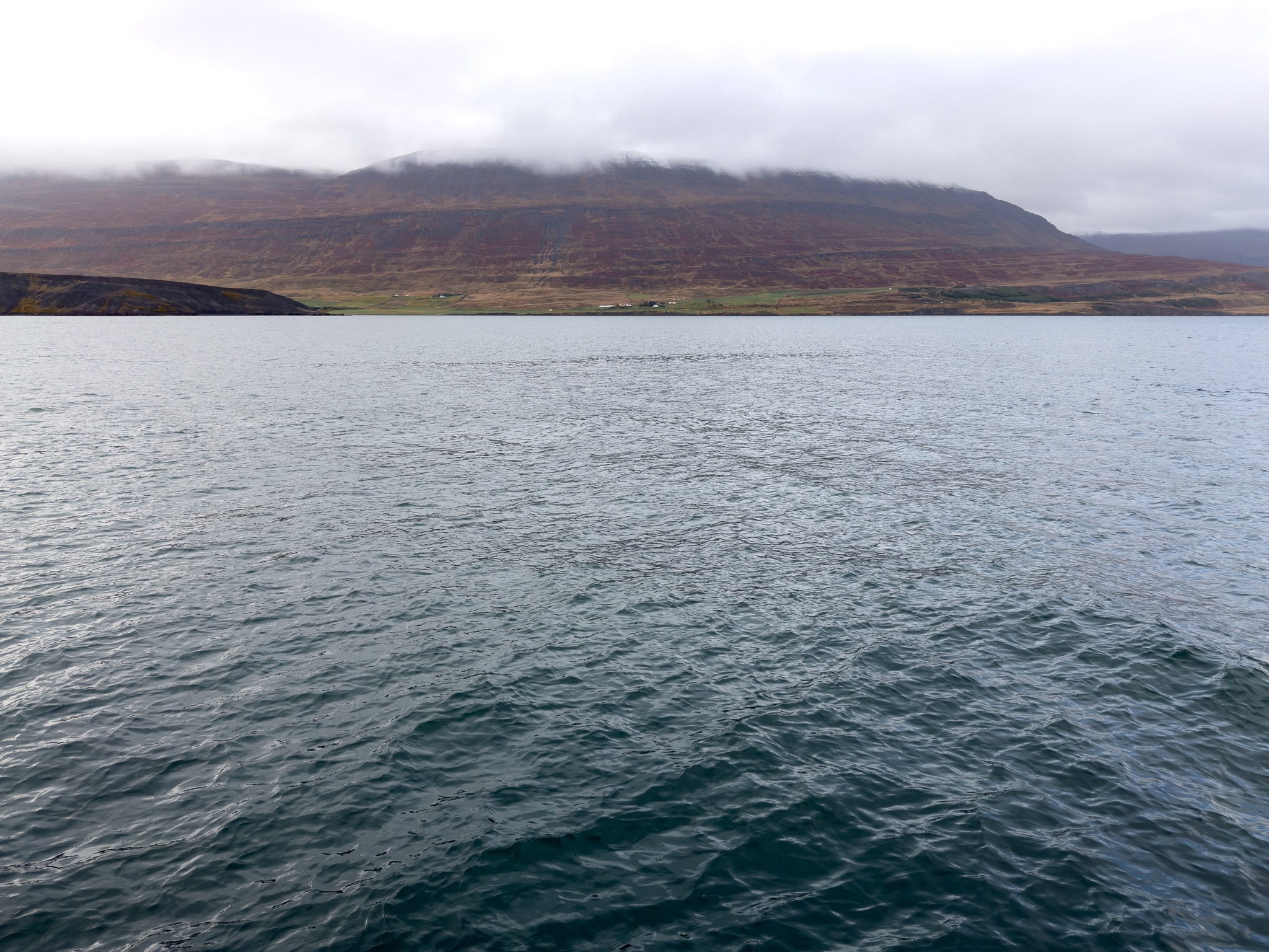 Dark, cold waters of the fjord against a dark brown mountain side, fading into snow caps and white clouds