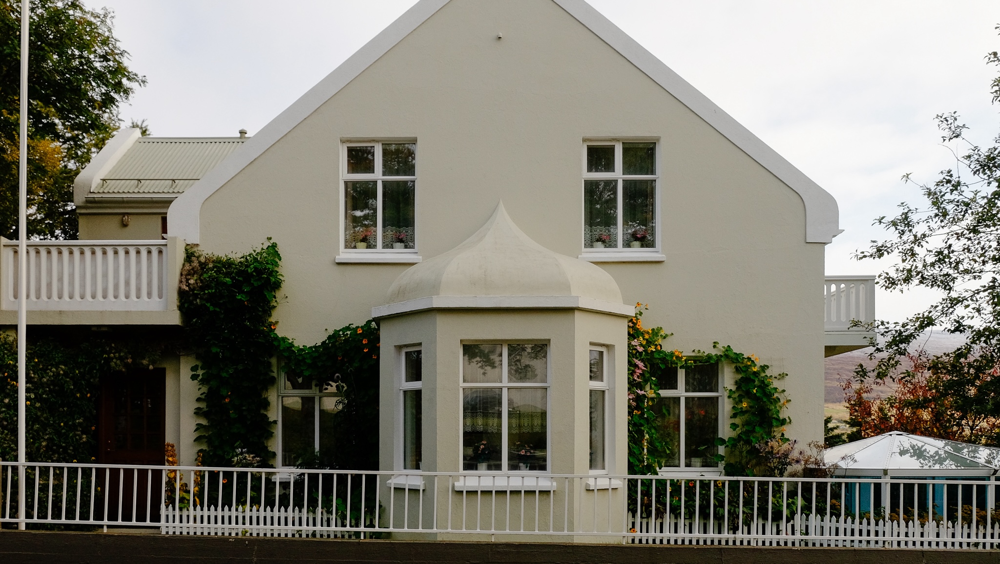 A house in Akureyri, Iceland with a white fence and green nasturtium vines growing over it's windows