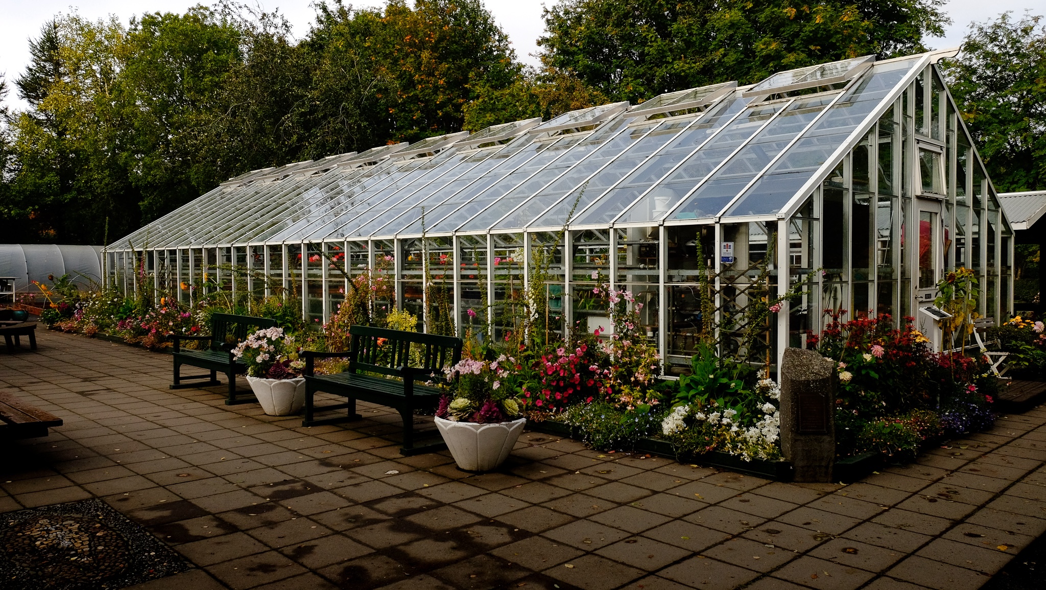 A greenhouse with white trim surrounded by a bed of colourful flowers and green benches