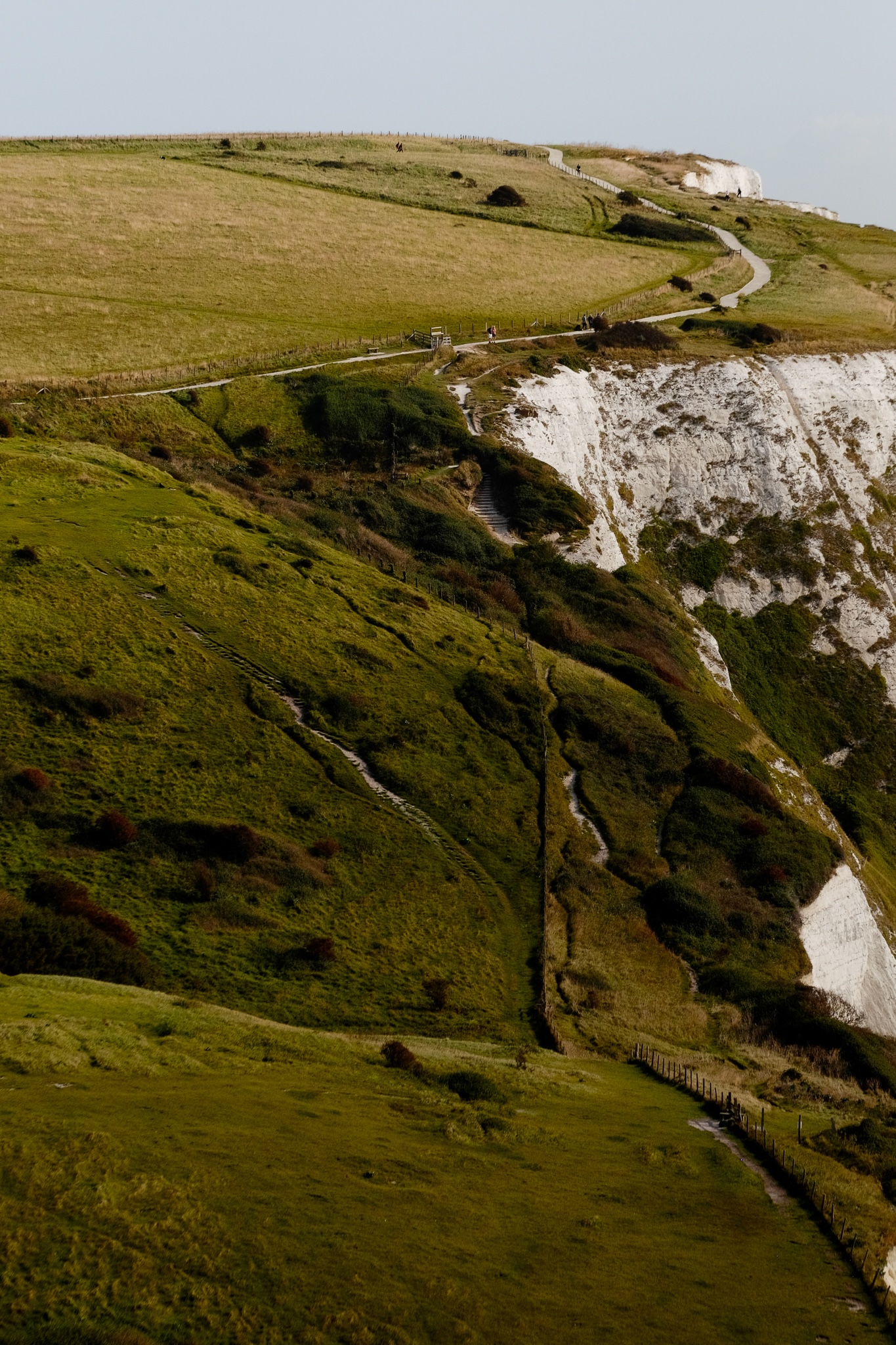 Green, rolling hills over Dover with a walking path and fence before the white cliffs peak out
