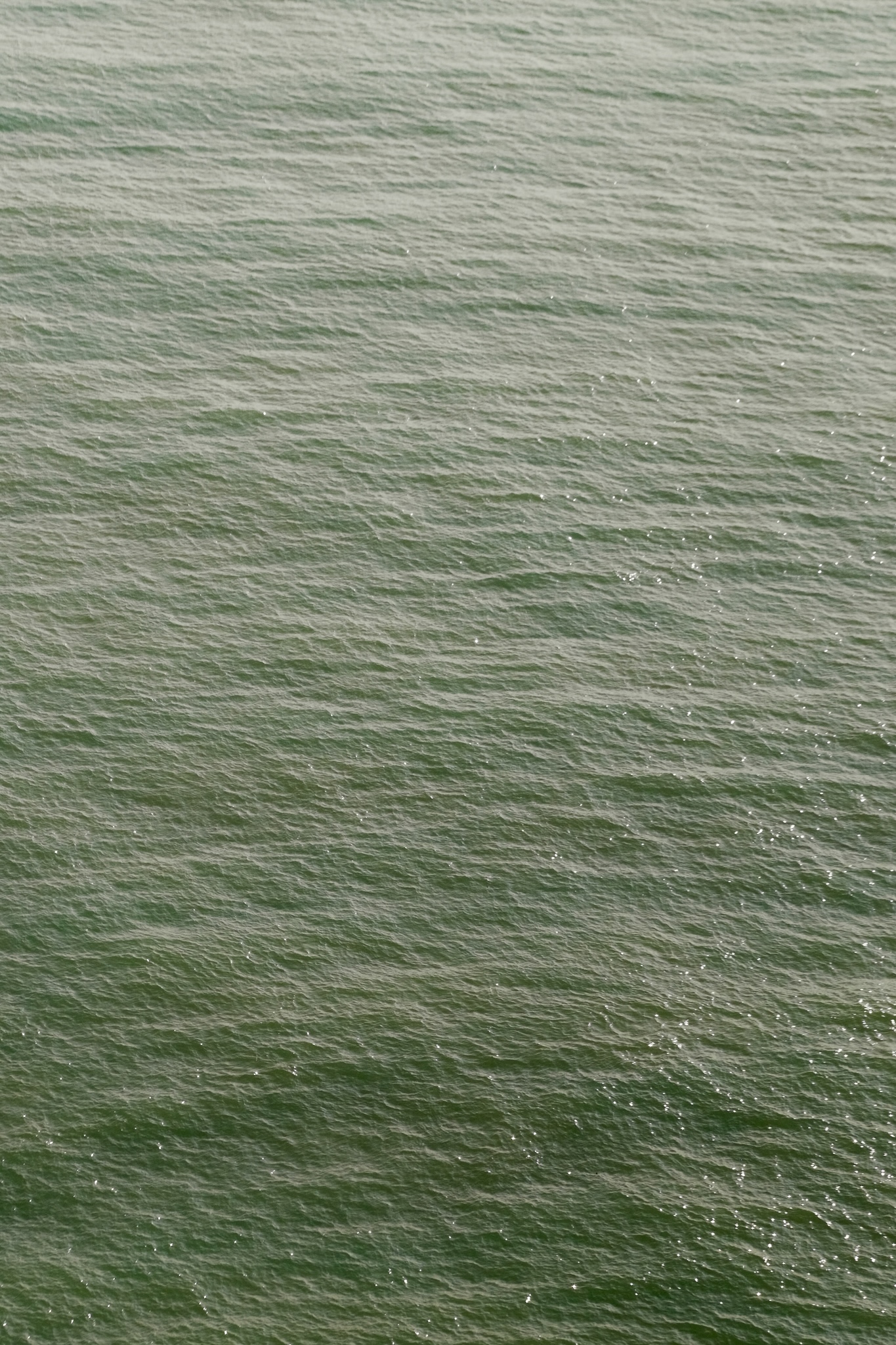 Beautiful green-turquoise sea of the english channel with sun reflecting off of it