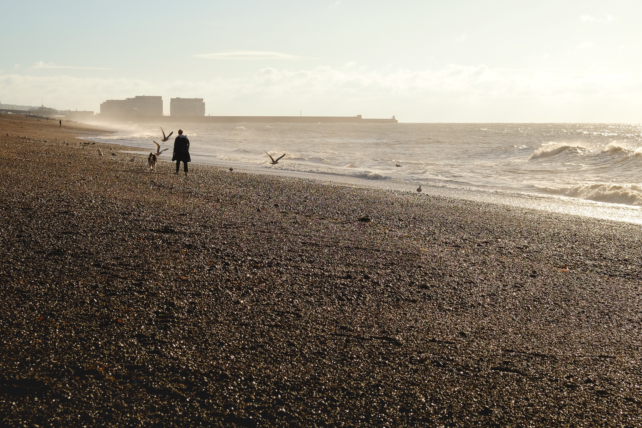A women walks her dog on the beach as seagulls dive down for food around them, the mist of the sea waves fog up the view in the distance