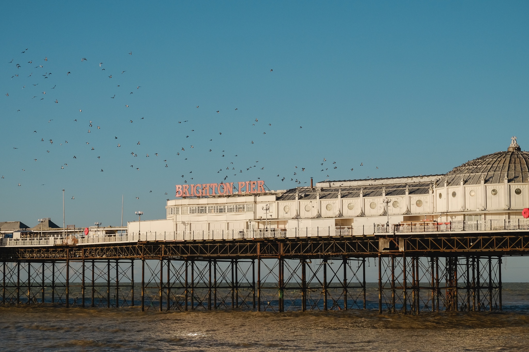 A sign reads Brighton Pier bright in the morning sun on the pier structure as a large flock of birds fly above it against a clear sky